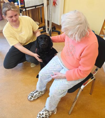 Wir bekamen Besuch von unserem Therapiehund – Bild 5